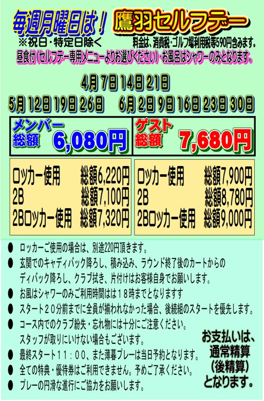 鷹羽セルフデー